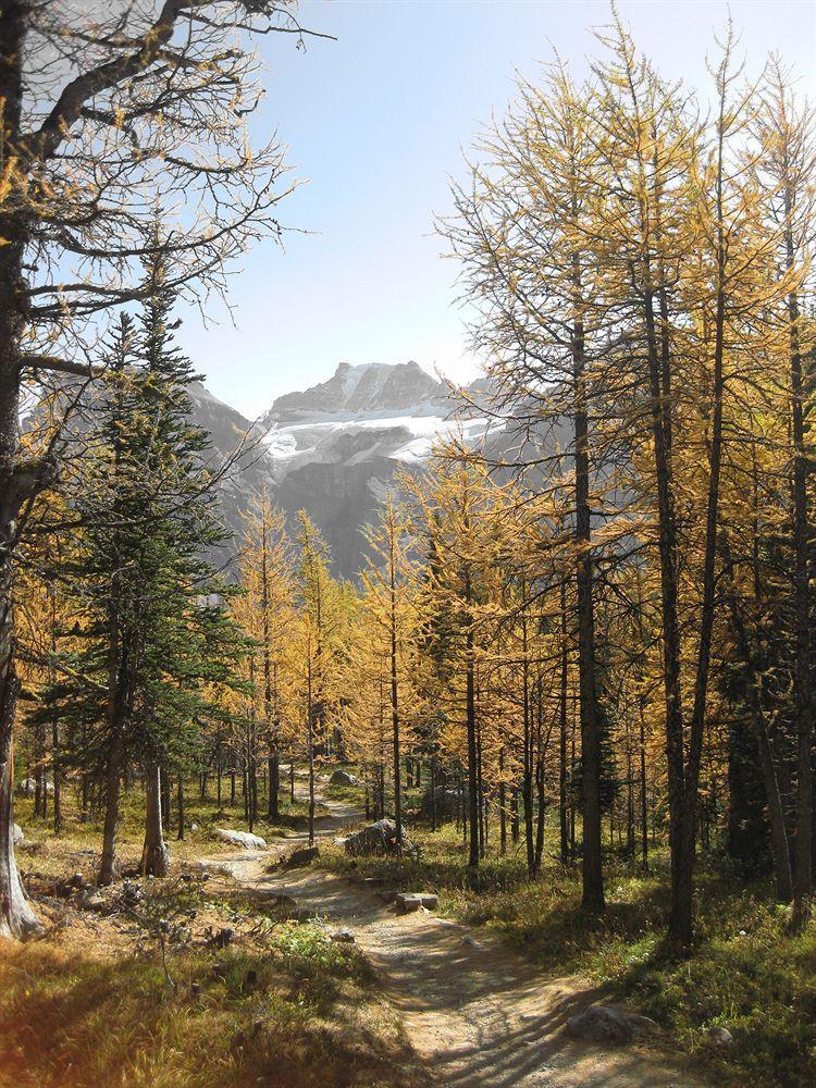 Moraine Lake Lodge Лейк-Луиз Экстерьер фото